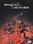 :<B>NAPOLEON</B>:Braquge � la Hussarde:VINCENT BRUGEAS:::S202604/A202606: