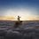 S20141110,A20141110,Studio*Coffret  1 CD Deluxe Edition + DVD***DSQ2451.htm***...:...|PINK FLOYD|2014-The Endless River